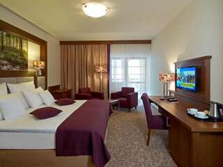 Отель Hotel Mercure Krynica Zdrój Resort&Spa Крыница-Здруй Улучшенный номер с 2 соединенными кроватями и диваном-4