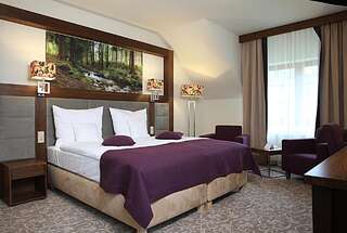 Отель Hotel Mercure Krynica Zdrój Resort&Spa Крыница-Здруй Улучшенный номер с 2 соединенными кроватями-1