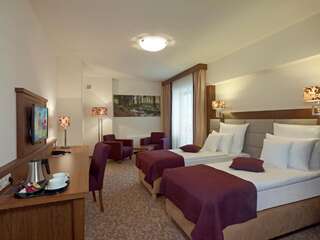Отель Hotel Mercure Krynica Zdrój Resort&Spa Крыница-Здруй Улучшенный номер с 2 соединенными кроватями и диваном-6