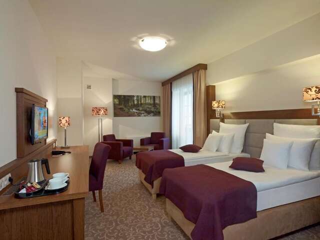 Отель Hotel Mercure Krynica Zdrój Resort&Spa Крыница-Здруй-49
